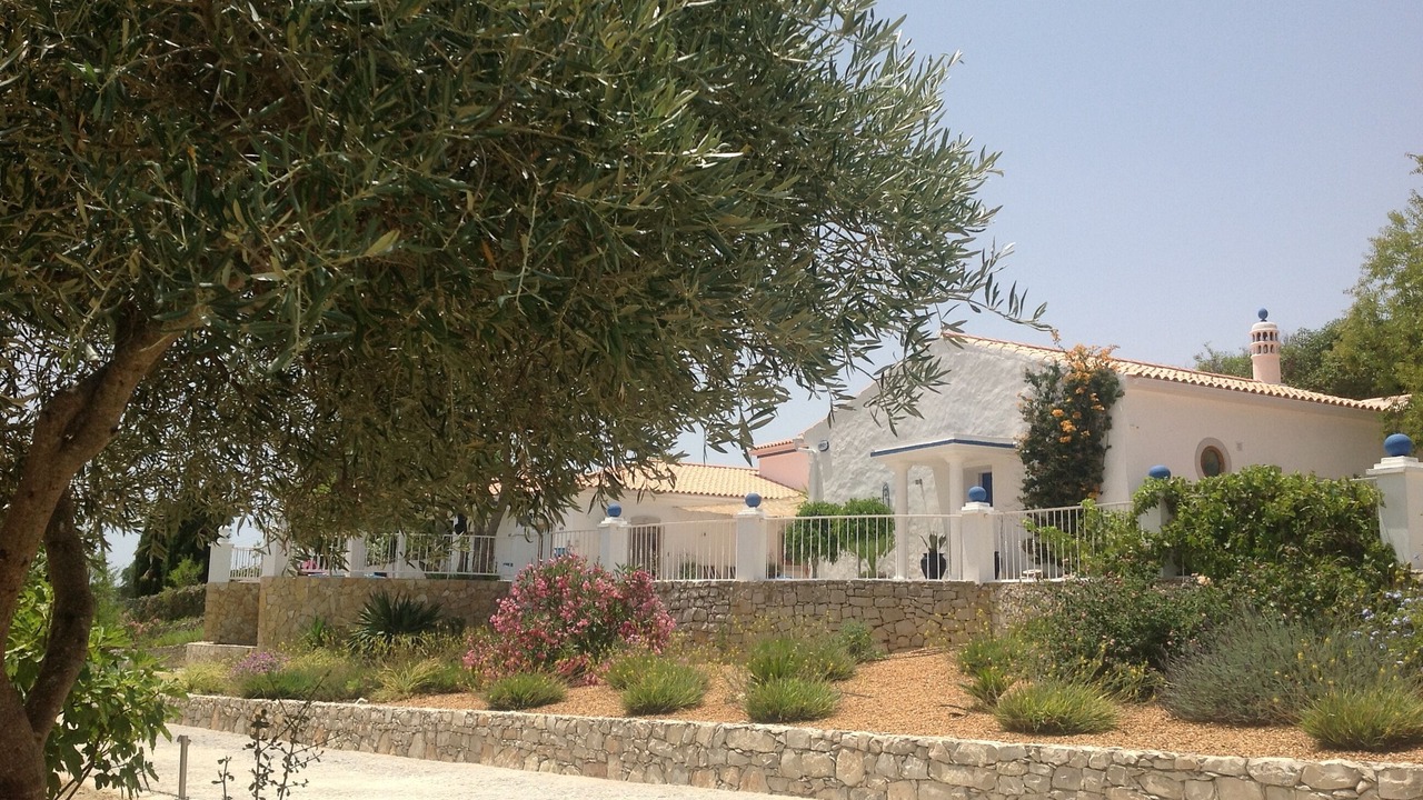 Photo of Outdoor in Alfeicao