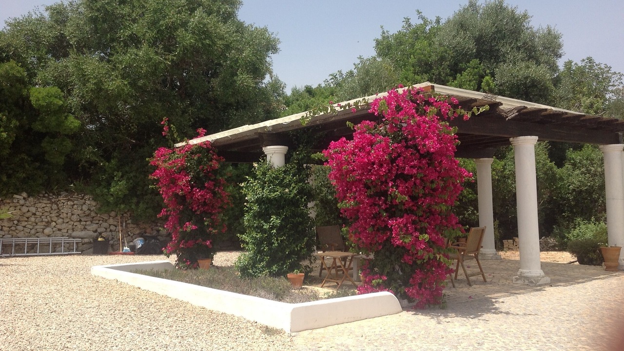 Photo of Patio Balcony in Alfeicao