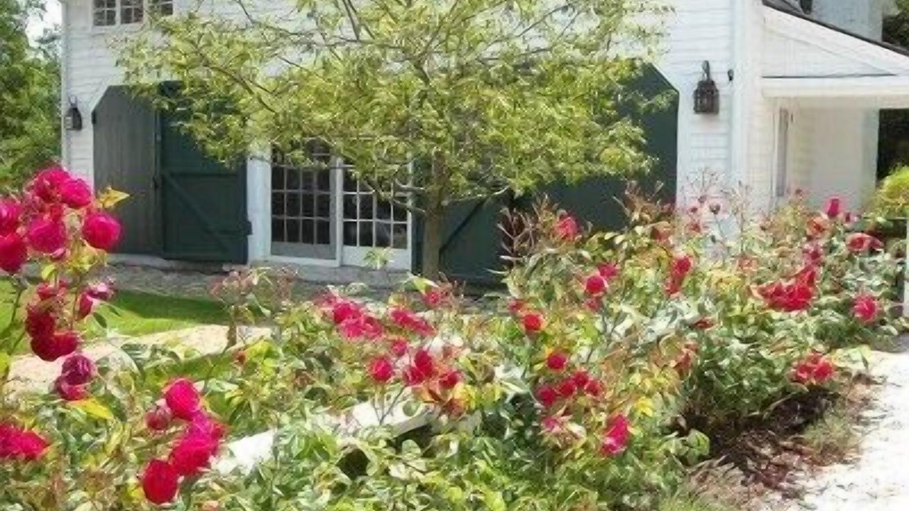 Photo of Outdoor in Truro