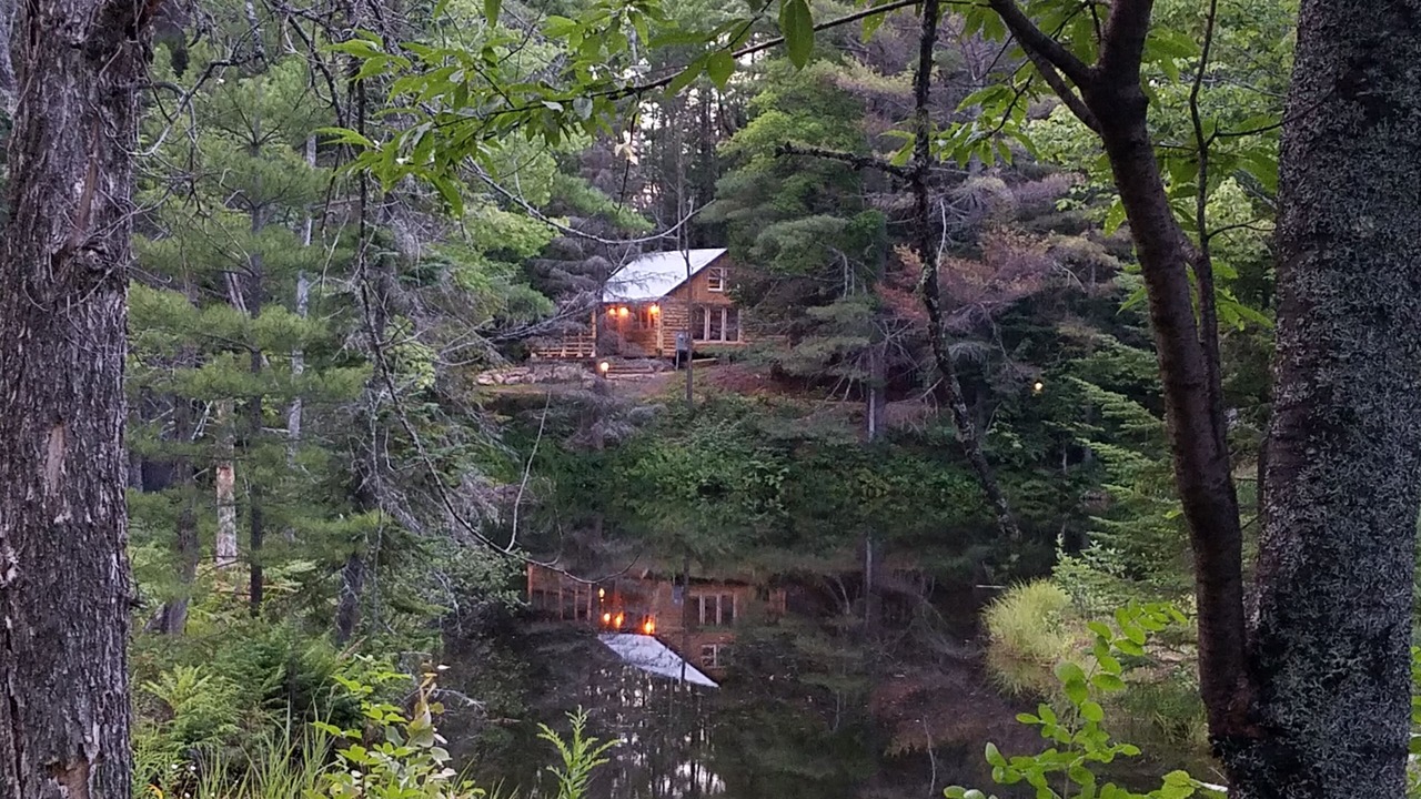 Photo of Outdoor in North Creek