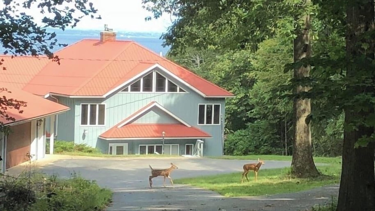 Photo of Outdoor in Town of Chesterfield