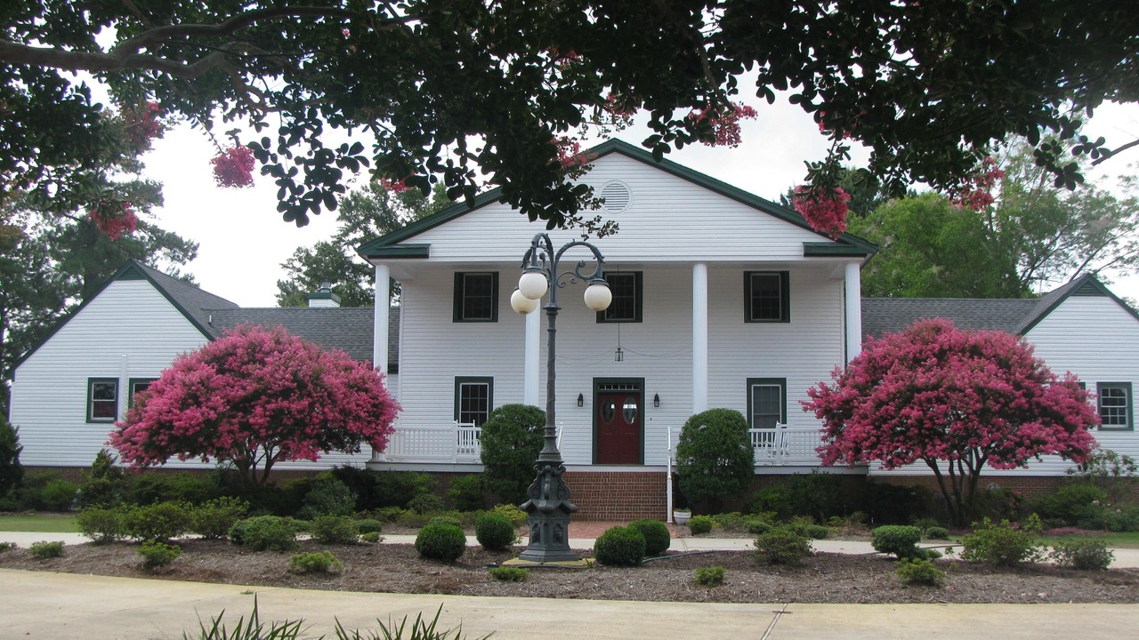 Photo of Outdoor in Foster