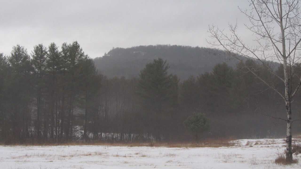 Photo of Others in Wells