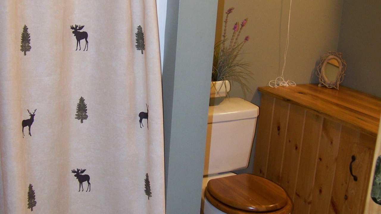 Photo of Bathroom in Silver Bay