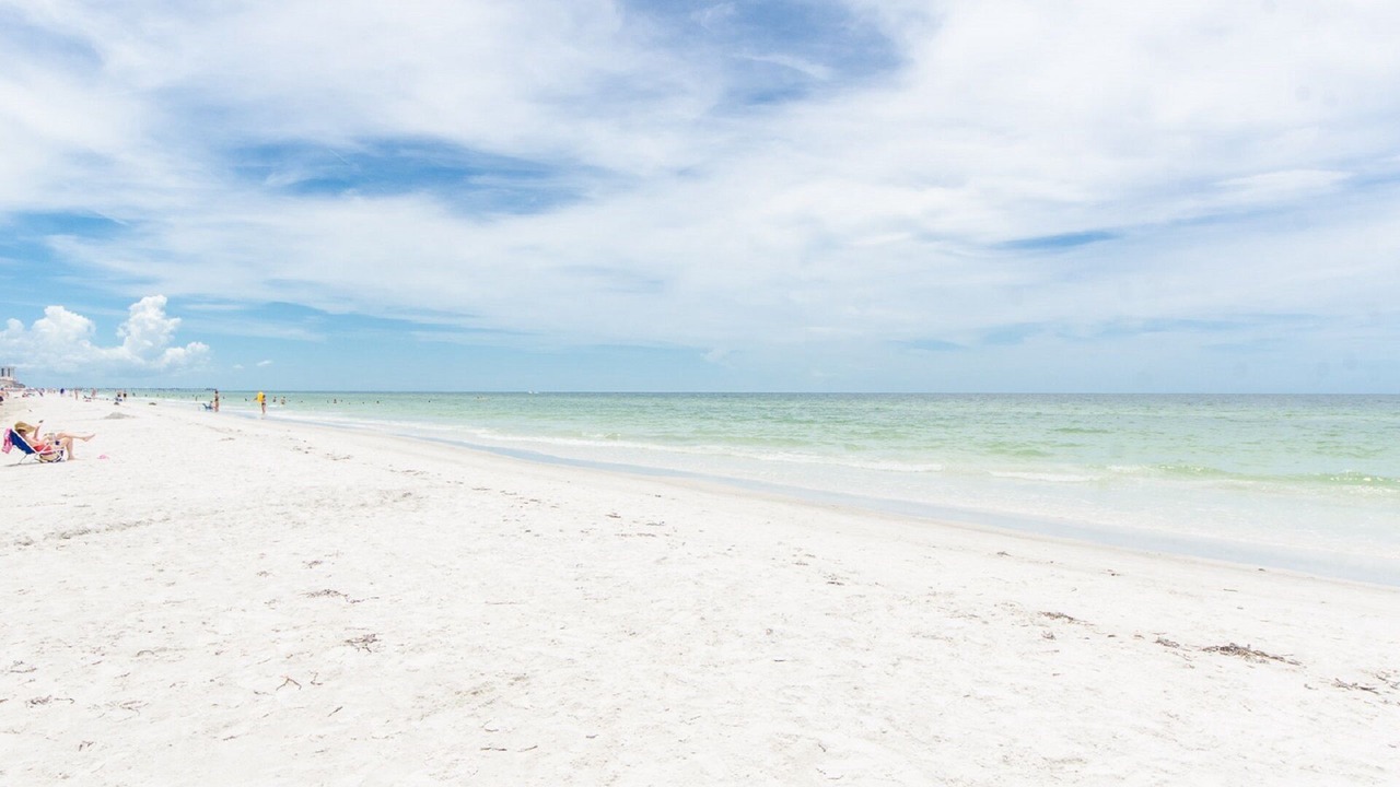 Photo of Others in Indian Shores