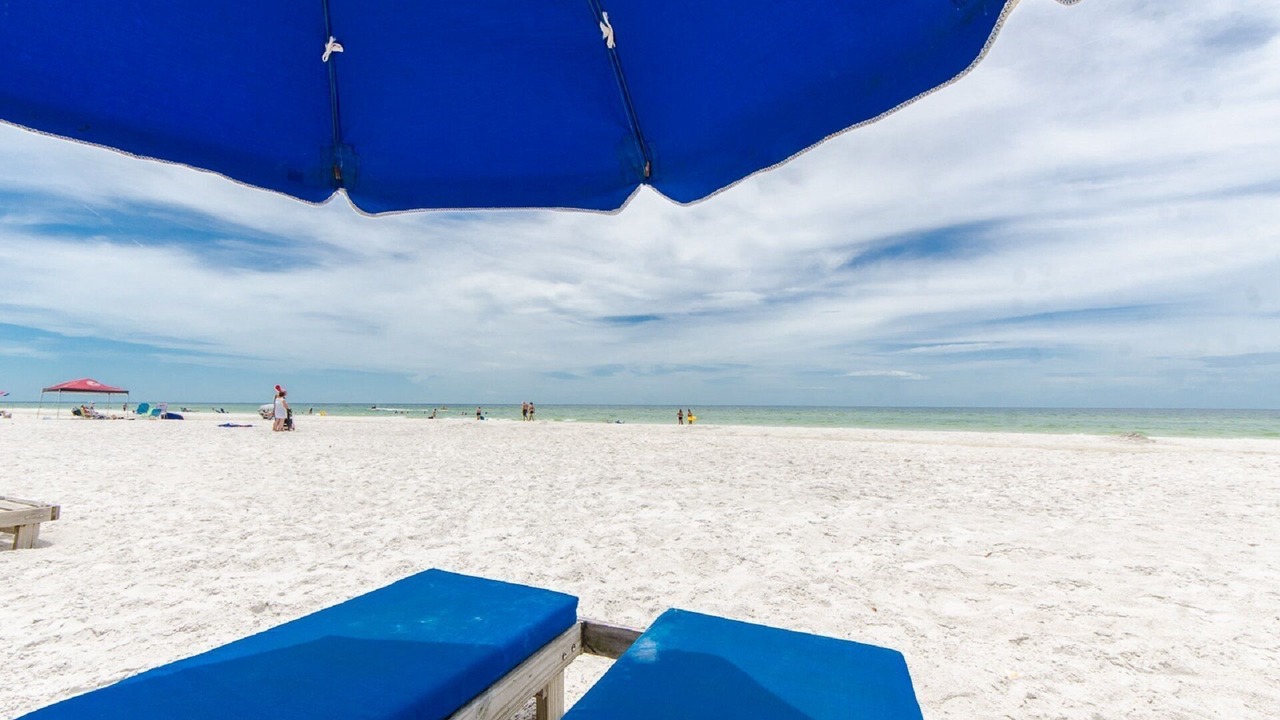 Photo of Others in Indian Shores
