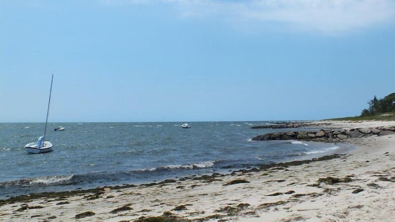 Photo of Others in South Chatham