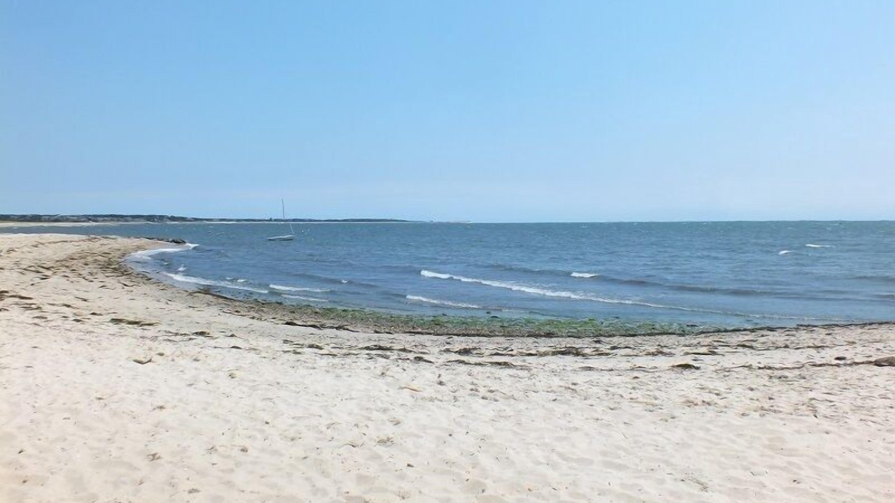 Photo of Others in South Chatham