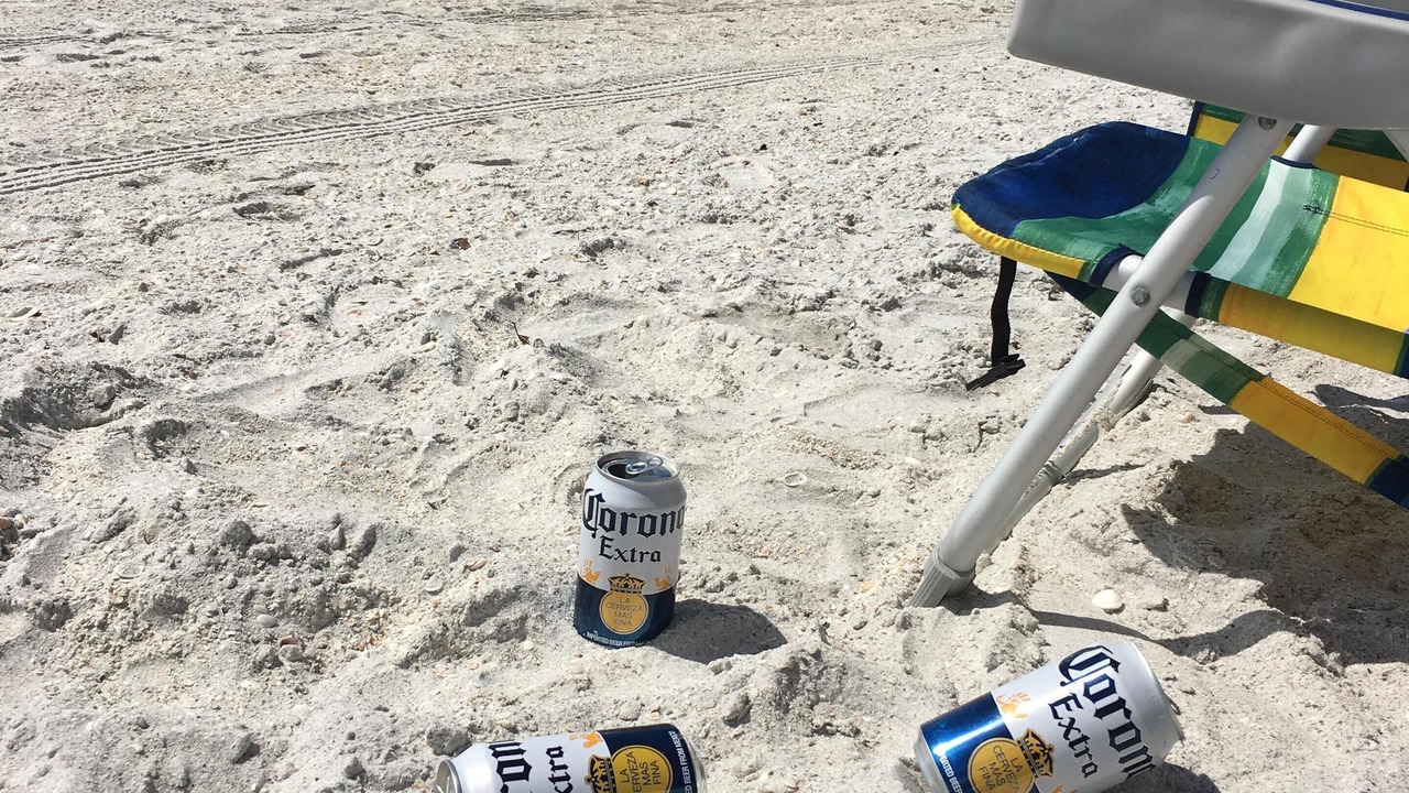 Photo of Others in Madeira Beach