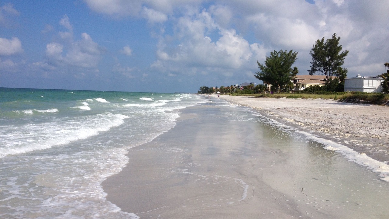 Photo of Others in Madeira Beach