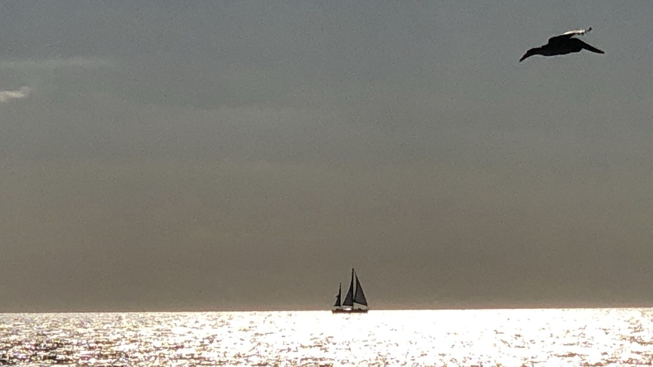 Photo of Others in Madeira Beach