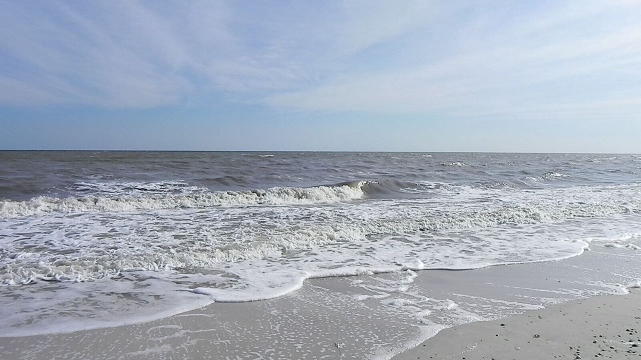 Photo of Others in Cape San Blas