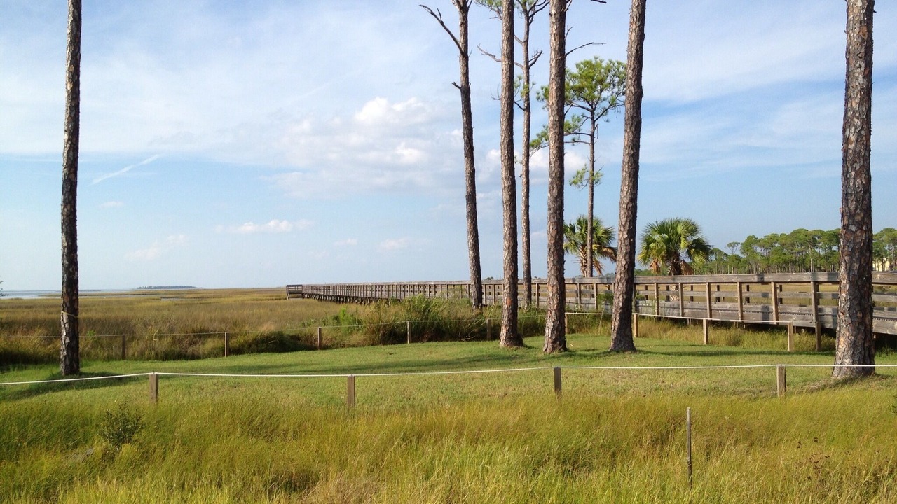 Photo of Others in Cape San Blas