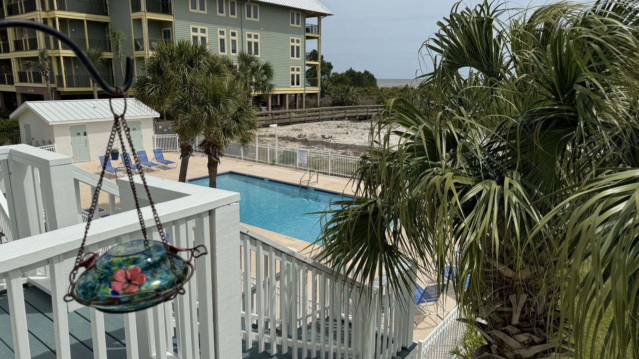 Photo of Outdoor in Cape San Blas
