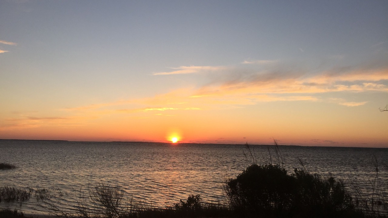 Photo of Others in Cape San Blas