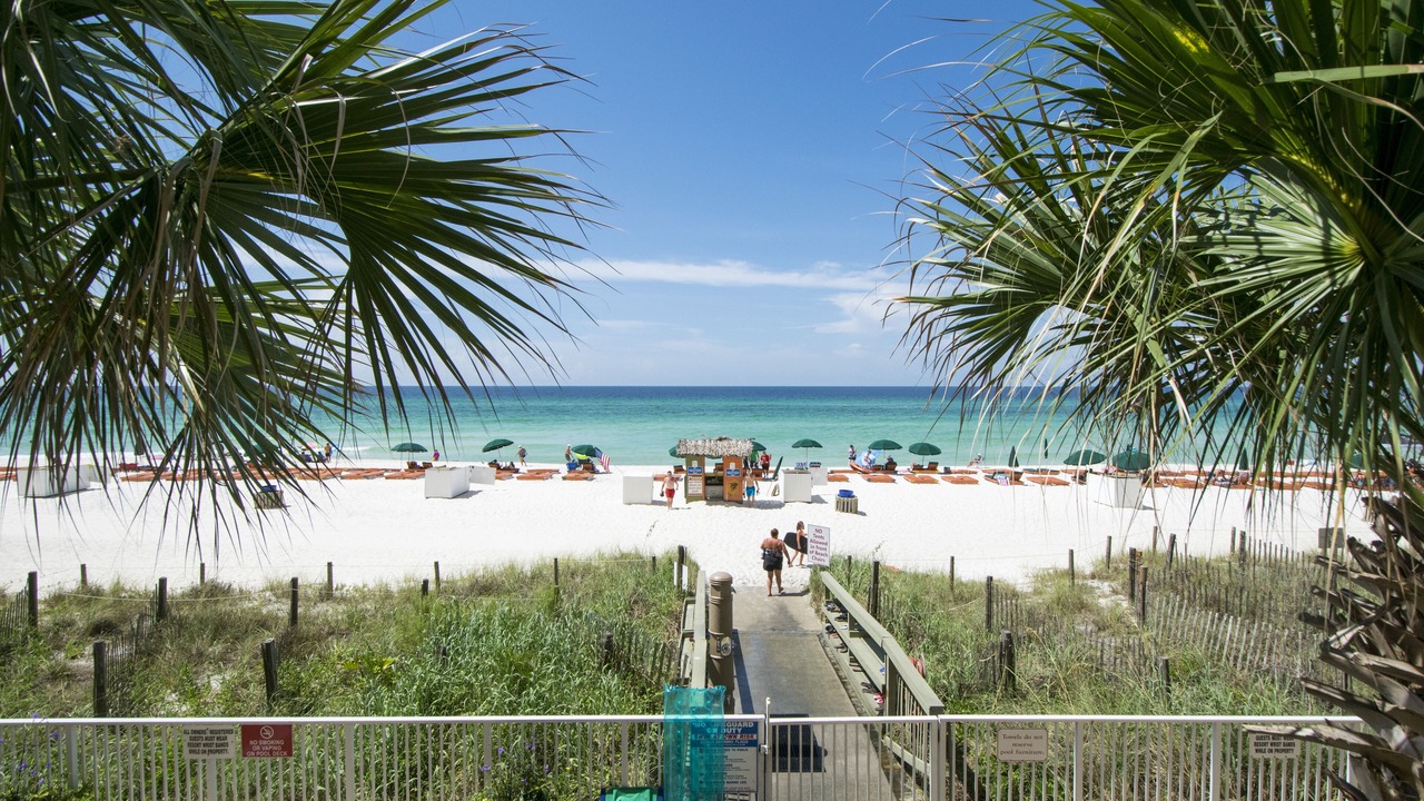 Photo of Others in West Panama City Beach