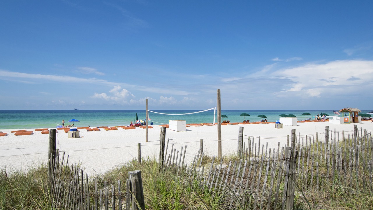 Photo of Others in West Panama City Beach