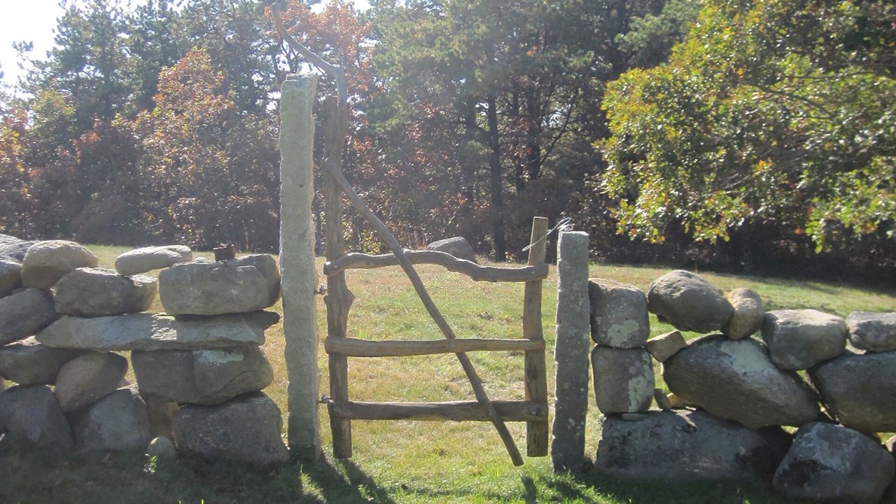 Photo of Others in Chilmark