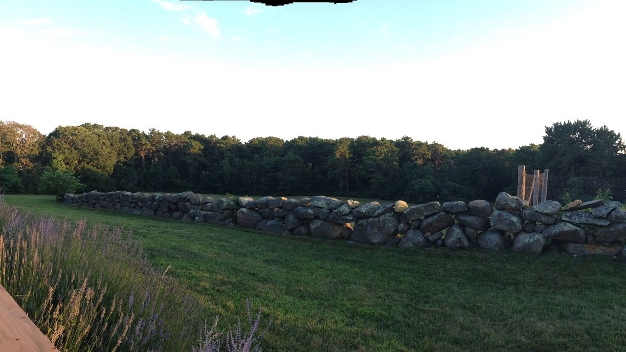 Photo of Others in Chilmark