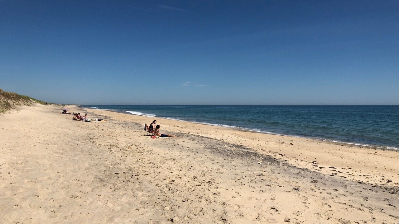 Photo of Others in Chilmark