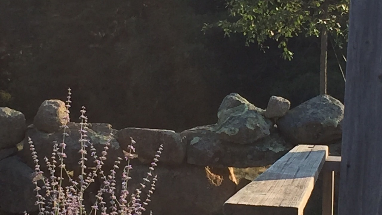 Photo of Others in Chilmark
