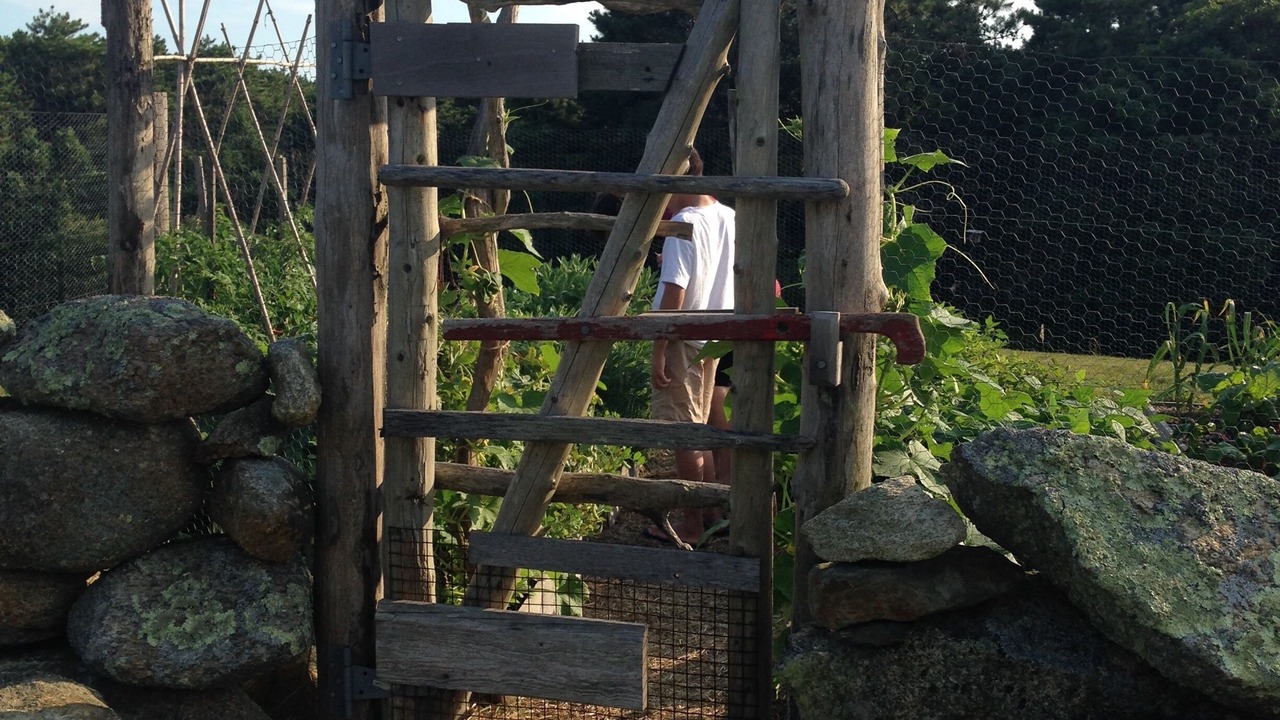Photo of Others in Chilmark