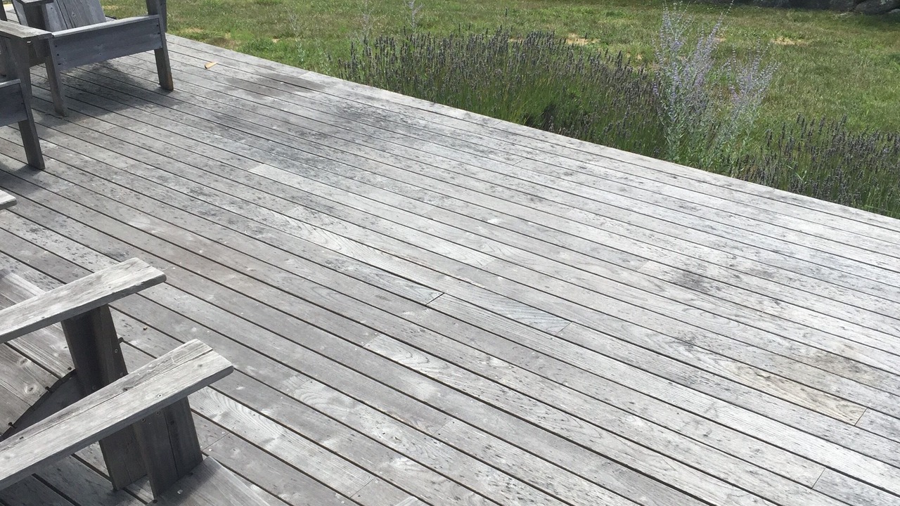 Photo of Others in Chilmark