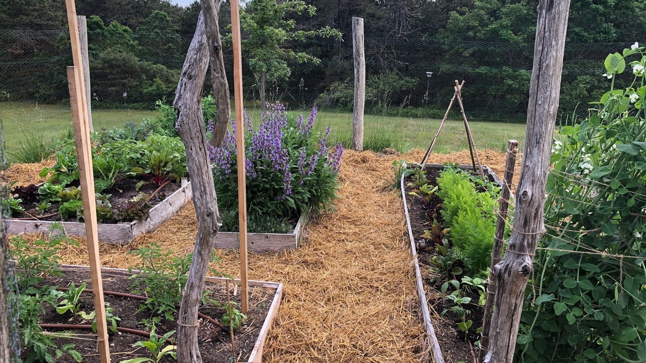 Photo of Outdoor in Chilmark
