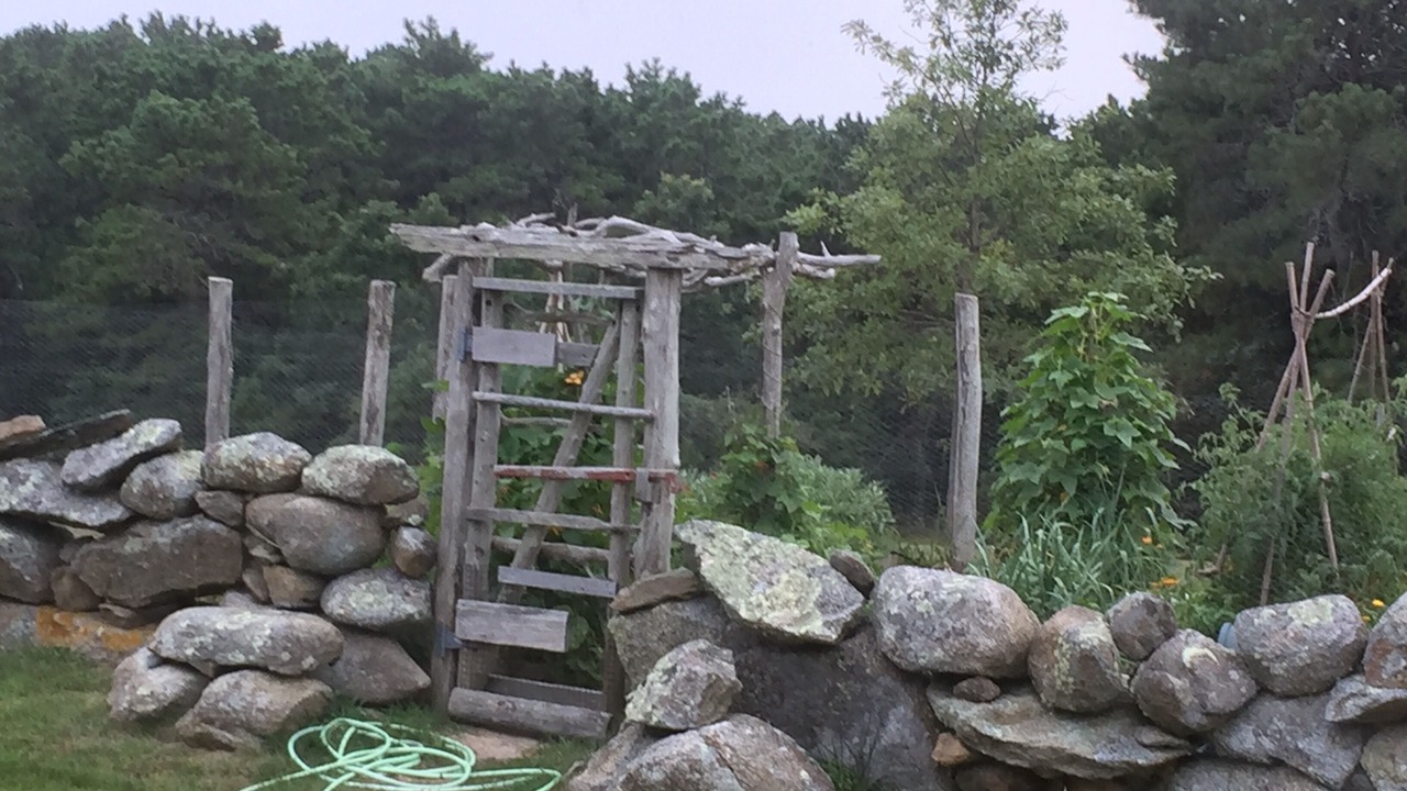 Photo of Others in Chilmark