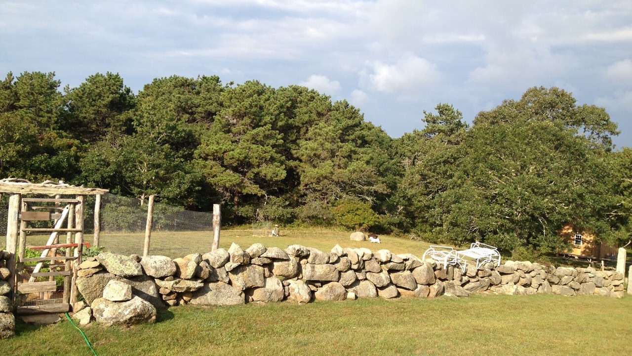 Photo of Others in Chilmark
