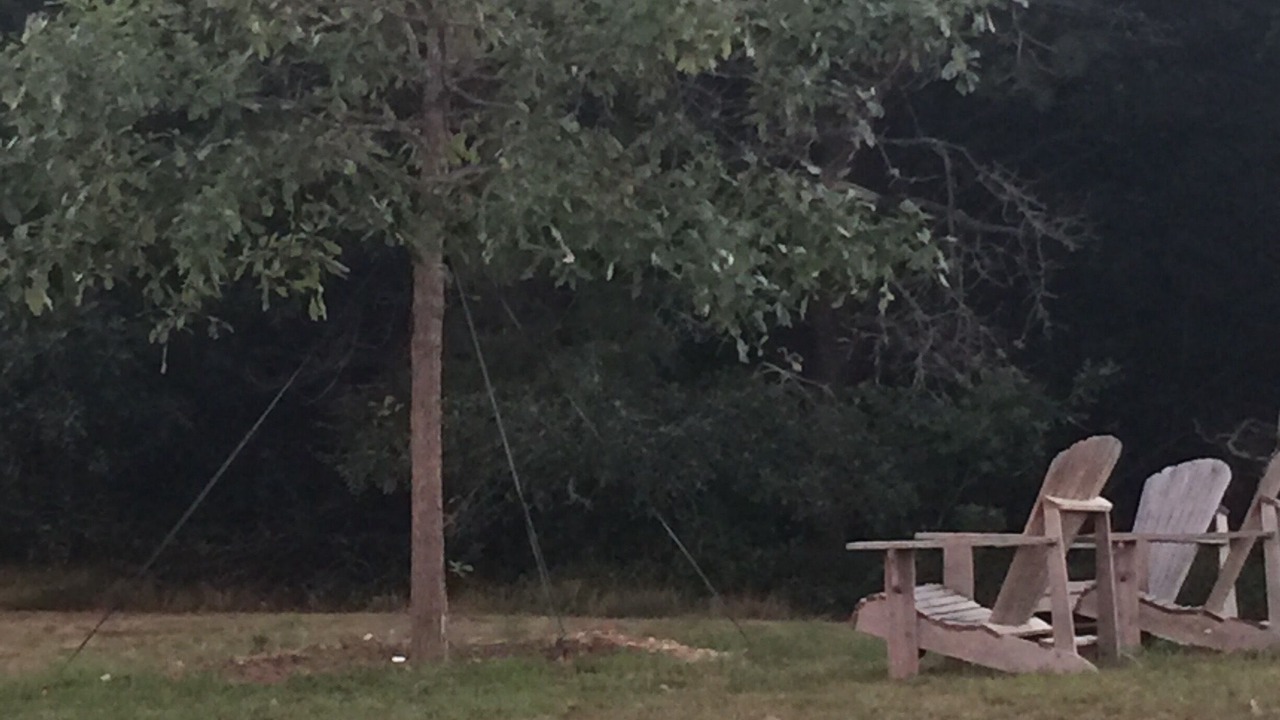 Photo of Others in Chilmark