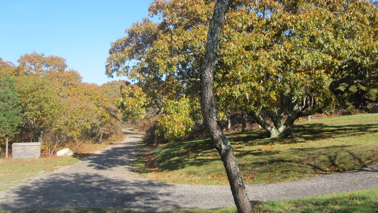 Photo of Others in Chilmark