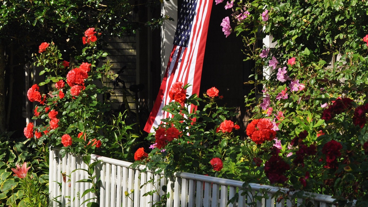 Photo of Others in Nantucket Town