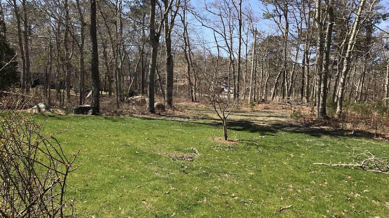 Photo of Outdoor in Brewster