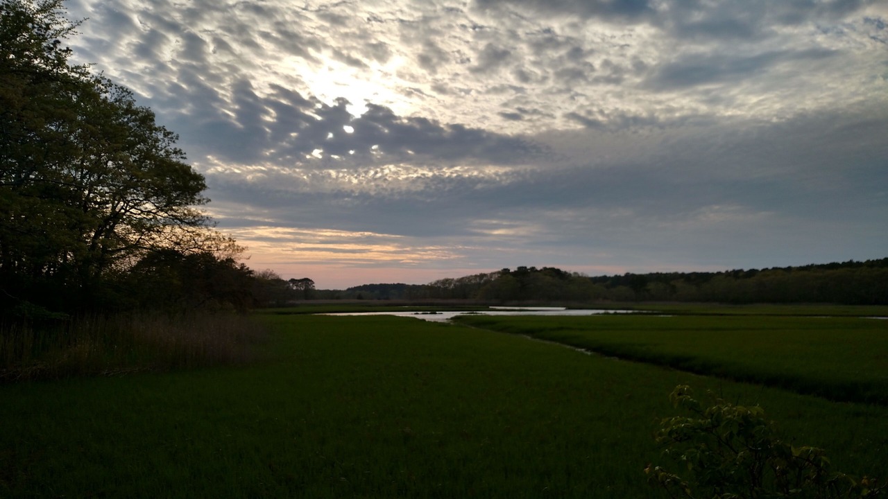 Photo of Others in West Harwich