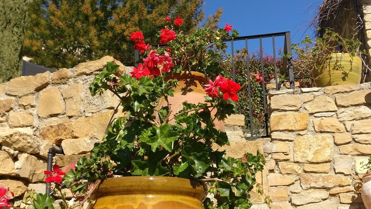 Photo of Outdoor in La Cadiere-d'Azur