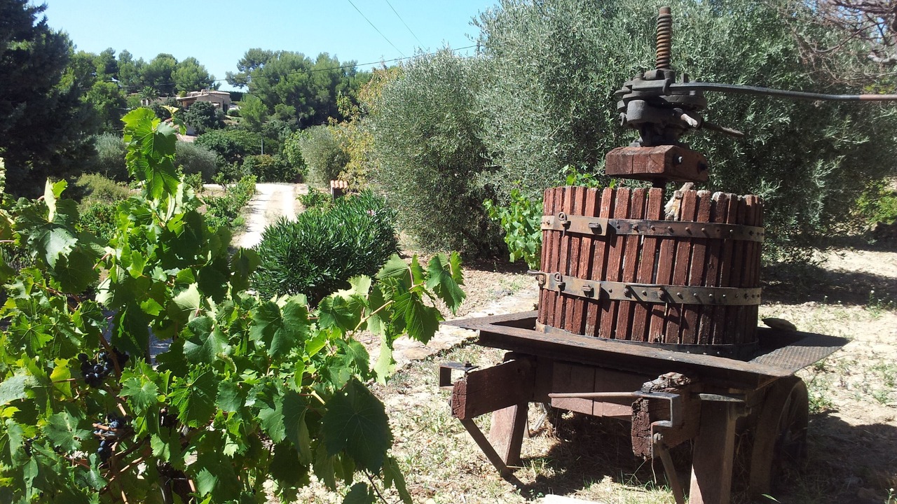 Photo of Outdoor in La Cadiere-d'Azur
