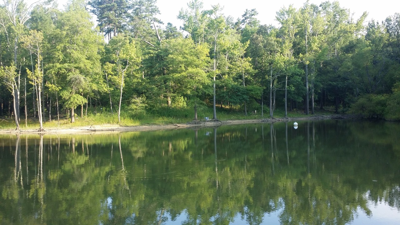 Photo of Outdoor in Merifield Acres