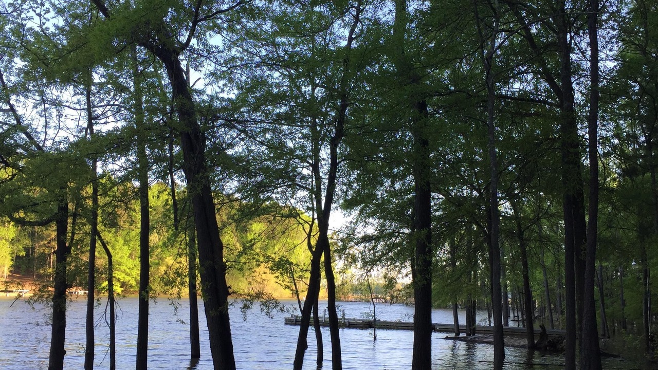 Photo of Outdoor in Merifield Acres