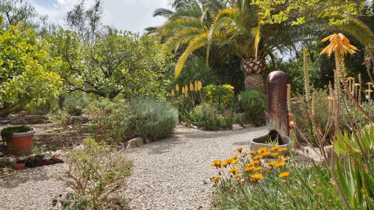 Photo of Outdoor in Montgo de Toscamar