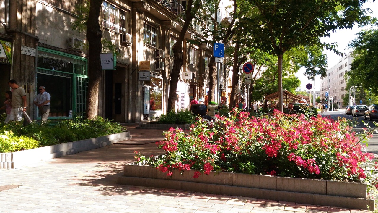 Photo of Outdoor in Ujlipotvaros