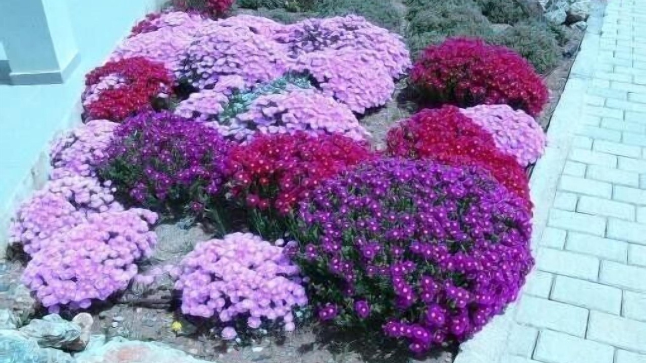 Photo of Outdoor in Kilada