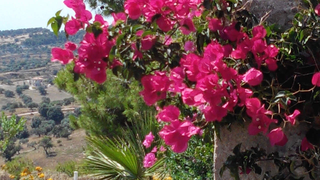 Photo of Outdoor in Kilada