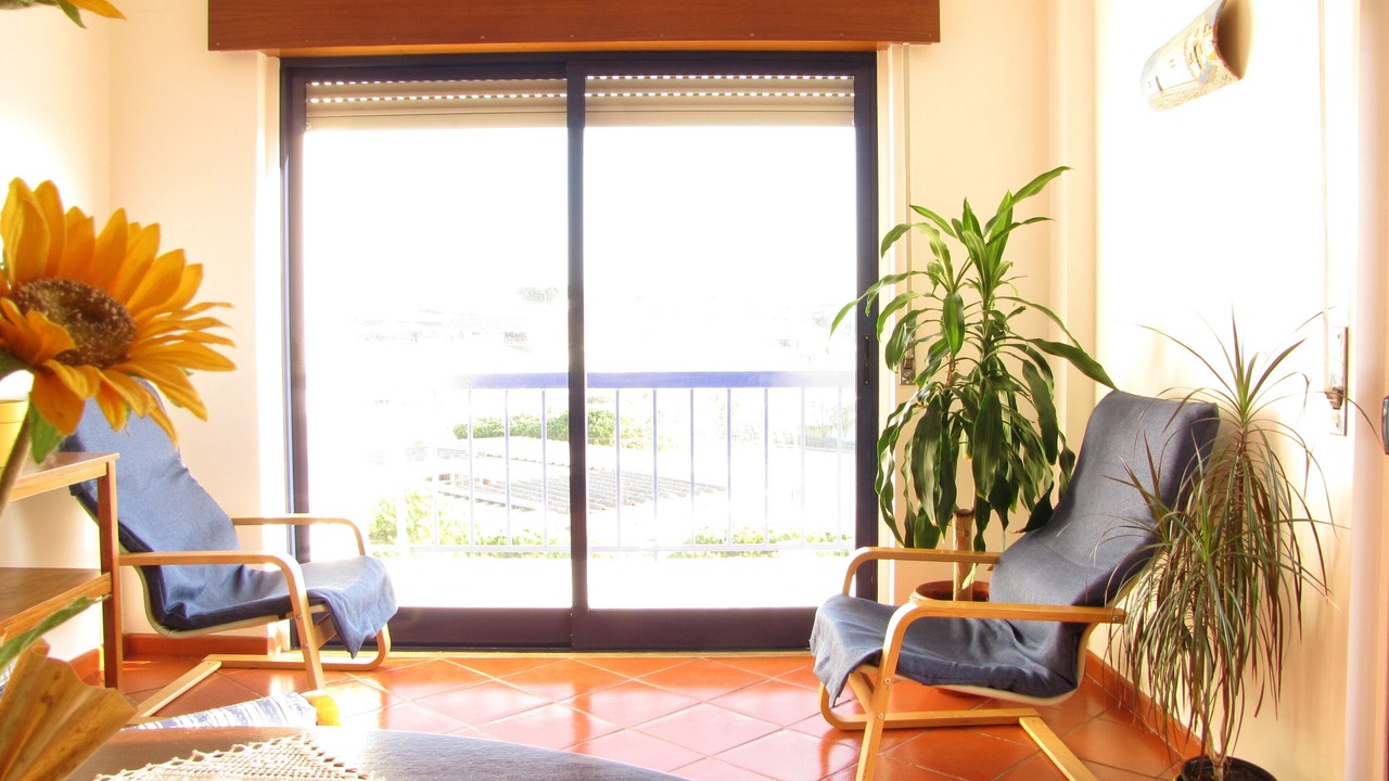 Photo of Others in Ericeira