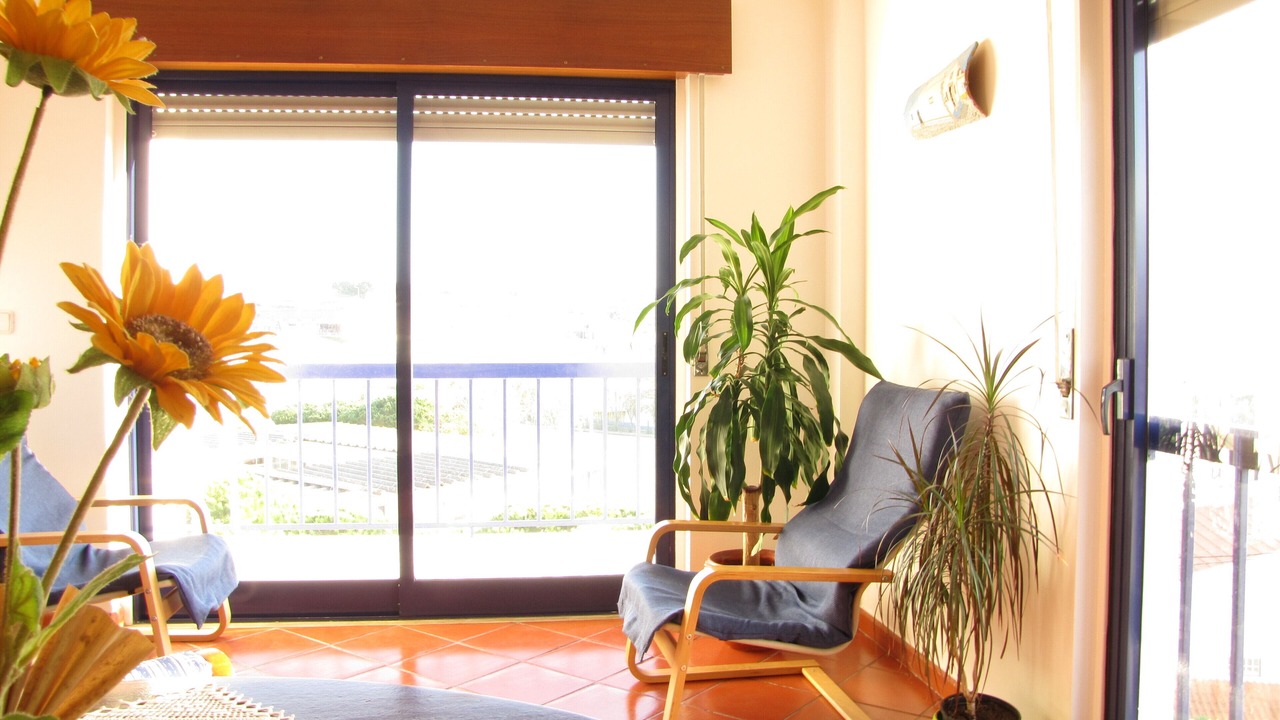 Photo of Others in Ericeira