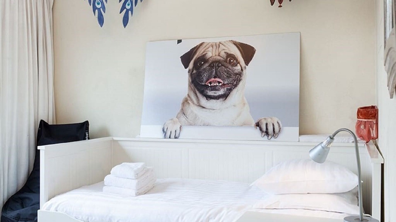 Photo of Bedroom in Elsrijk
