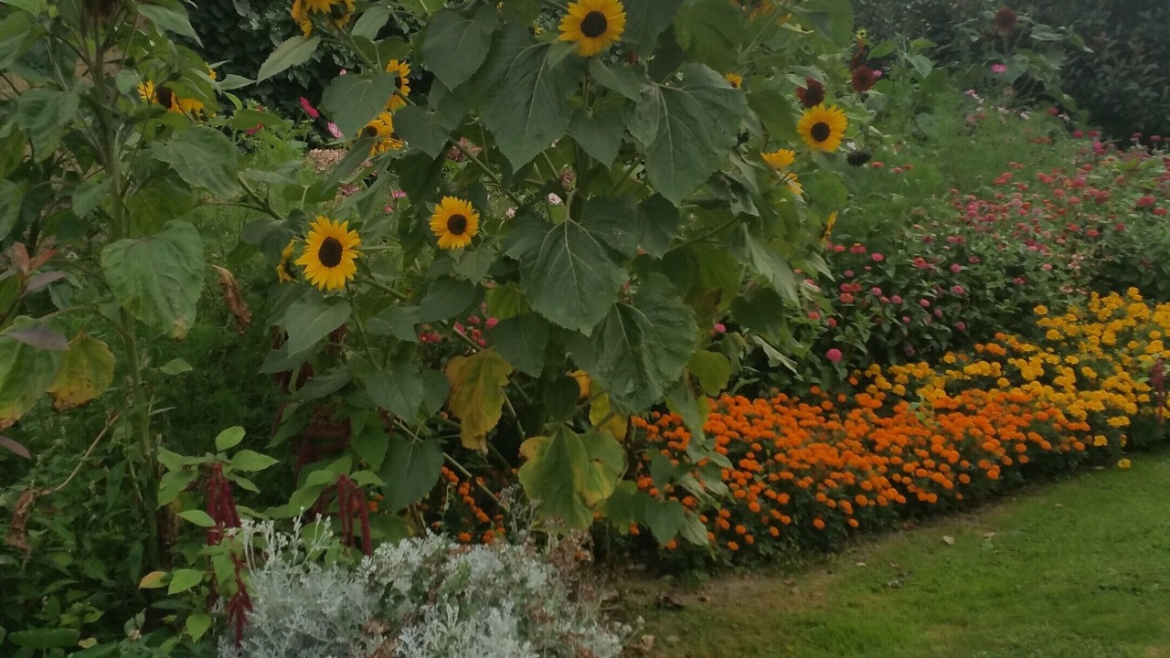 Photo of Outdoor in Tredias