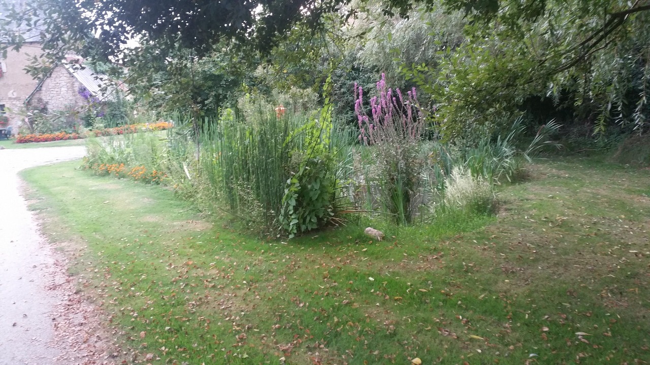 Photo of Outdoor in Tredias
