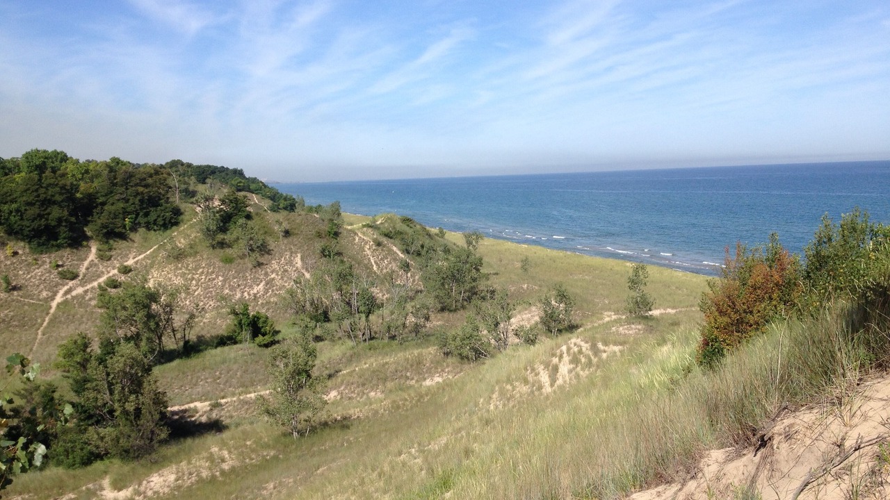 Photo of Outdoor in Porter Beach
