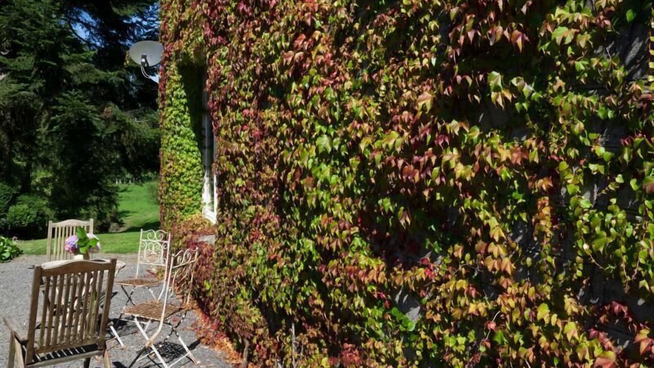 Photo of Outdoor in Hambye